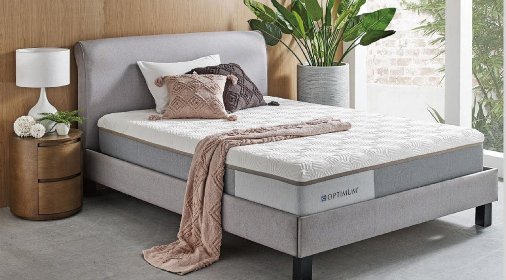 •Joyfulness喜樂美地25cm(限量加贈同尺寸美姿下墊)